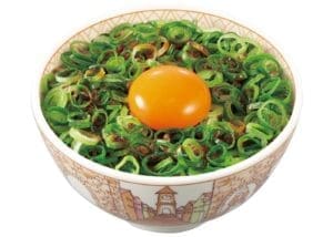 Gyudon with green onion and egg