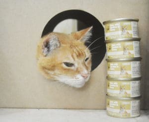Gold-D Cat Food